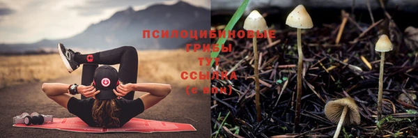 mdpv Абдулино