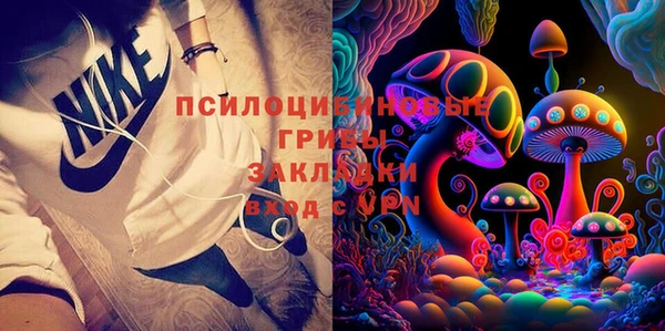 соль ск Няндома