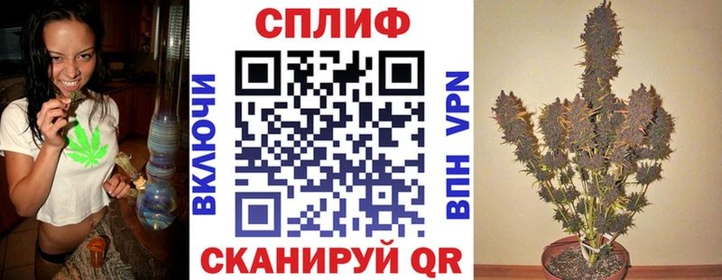 дарнет шоп  Дятьково  Бошки марихуана план 